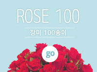 장미 100송이