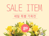 세일 특별 기획전