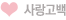 사랑고백